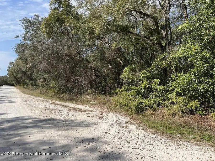 34085 Arrowrock Street, Webster, FL 33597 - Image #2