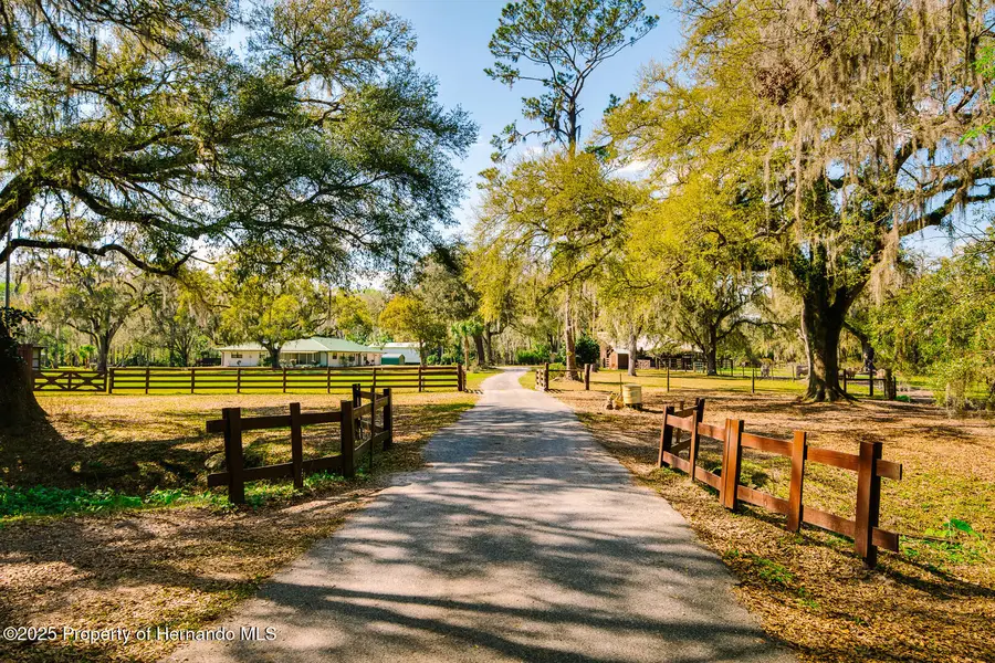 4942 Cr 300, Lake Panasoffkee, FL 33538 - Image #3