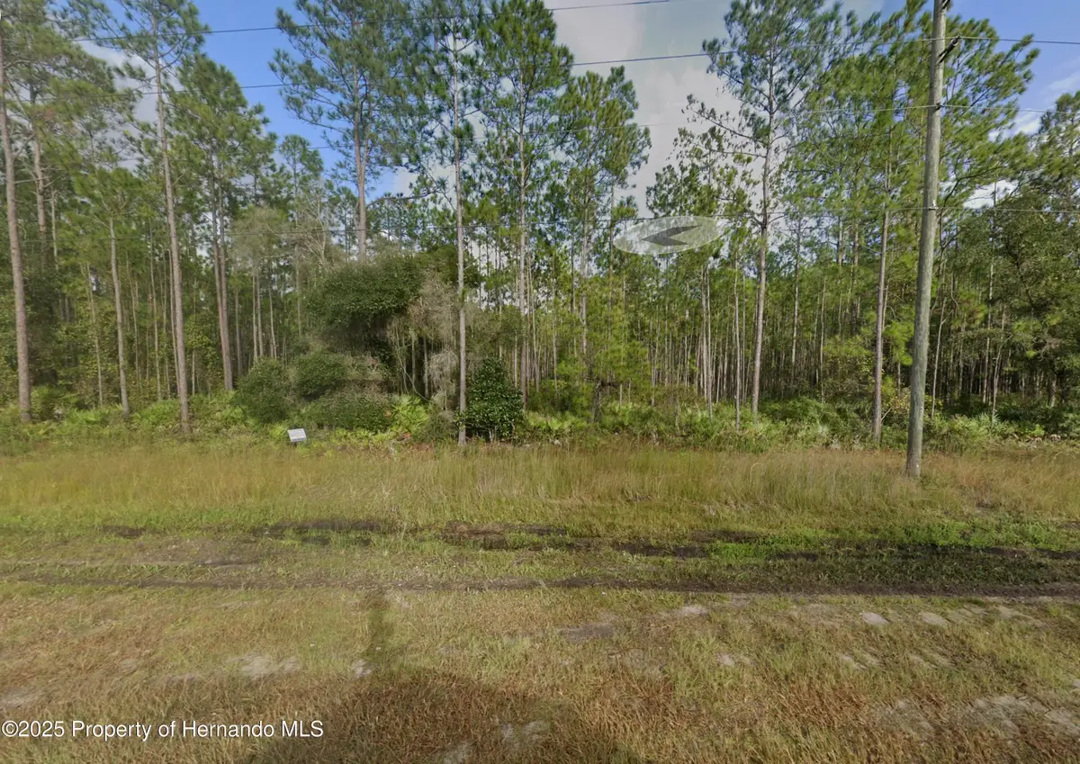 0 County Road 315, Interlachen, FL 32148 - Image #1