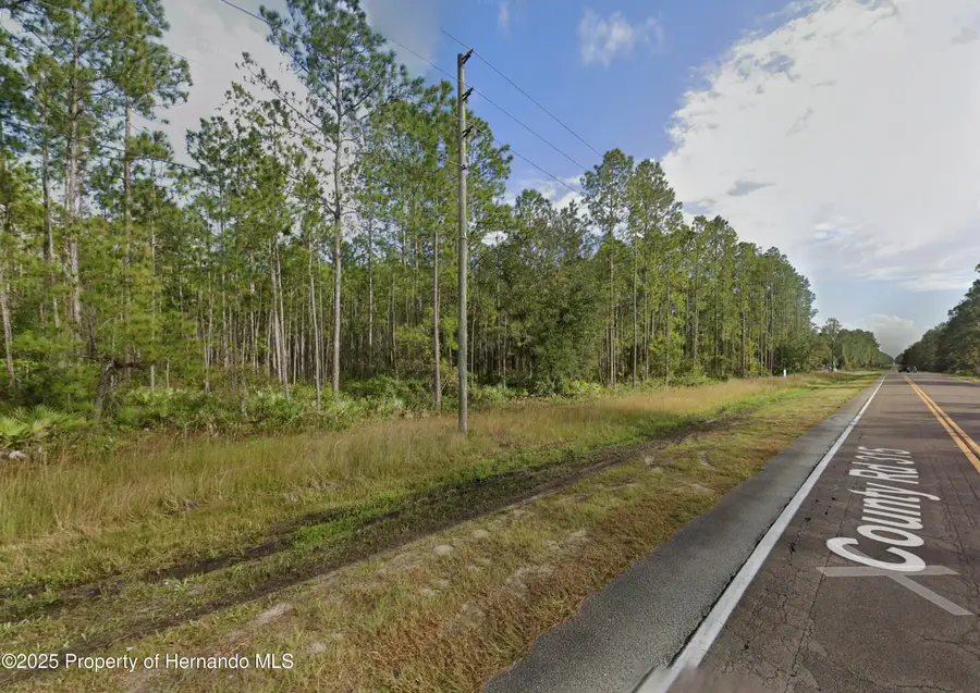 0 County Road 315, Interlachen, FL 32148 - Image #3