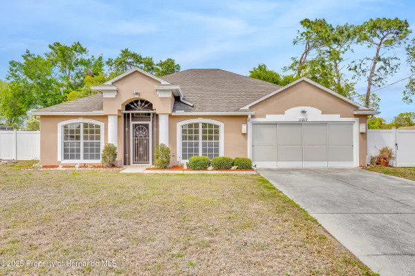 11217 Kangley Lane, Spring Hill, FL 34608