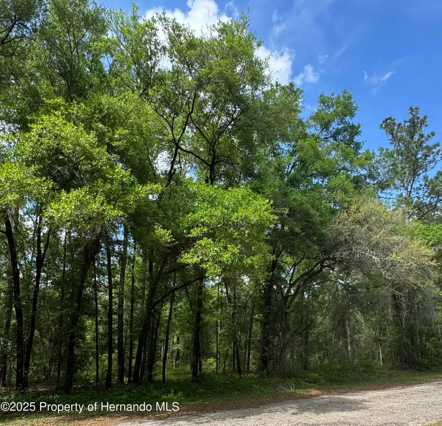 455 E Avondale Drive, Citrus Springs, FL 34434 - #3