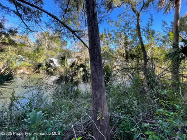 0 River Point, Weeki Wachee, FL 34607