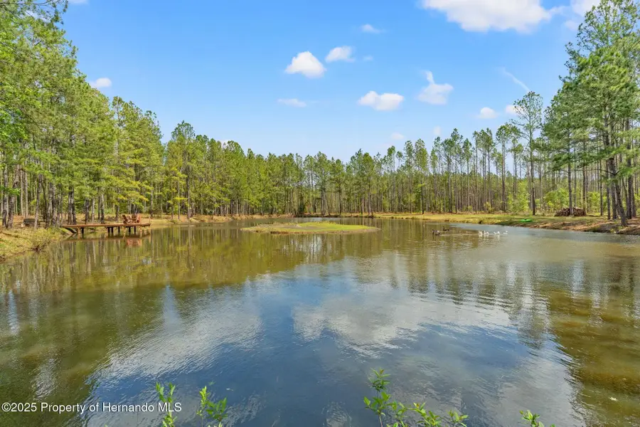 3431 Saturn Road, Brooksville, FL 34604 - #3