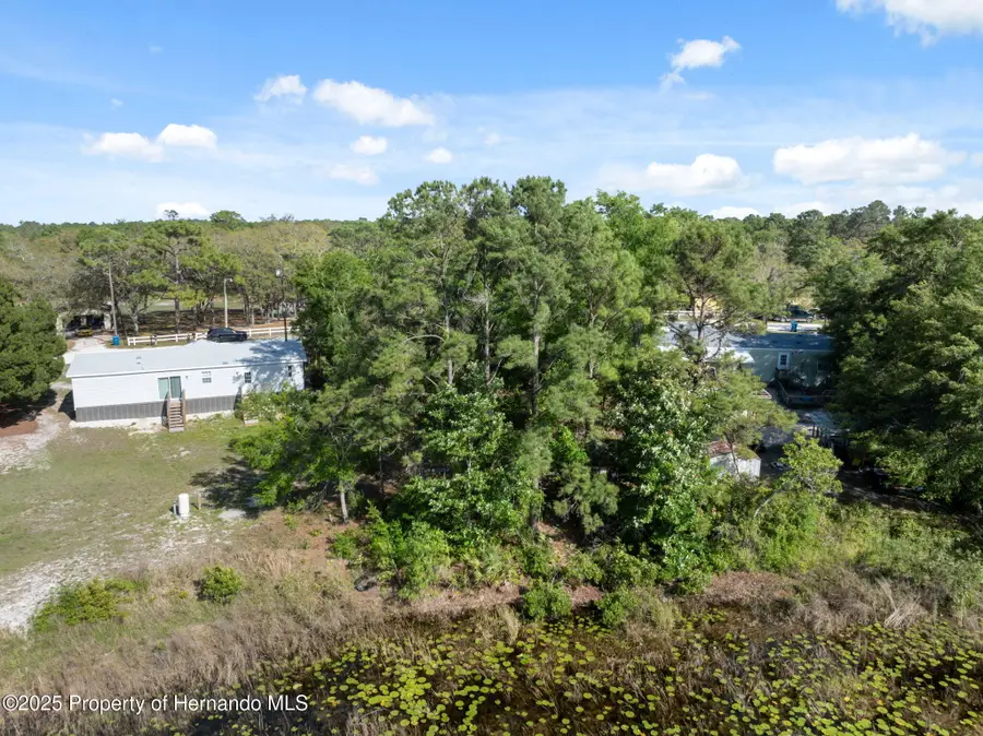8343 Normandy Drive, Weeki Wachee, FL 34613 - Image #3