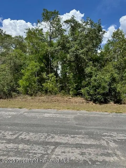 2235 W Summer Place, Citrus Springs, FL 34434 - #1