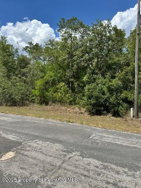 2235 W Summer Place, Citrus Springs, FL 34434 - #2