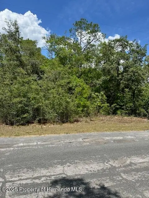 2235 W Summer Place, Citrus Springs, FL 34434 - #3