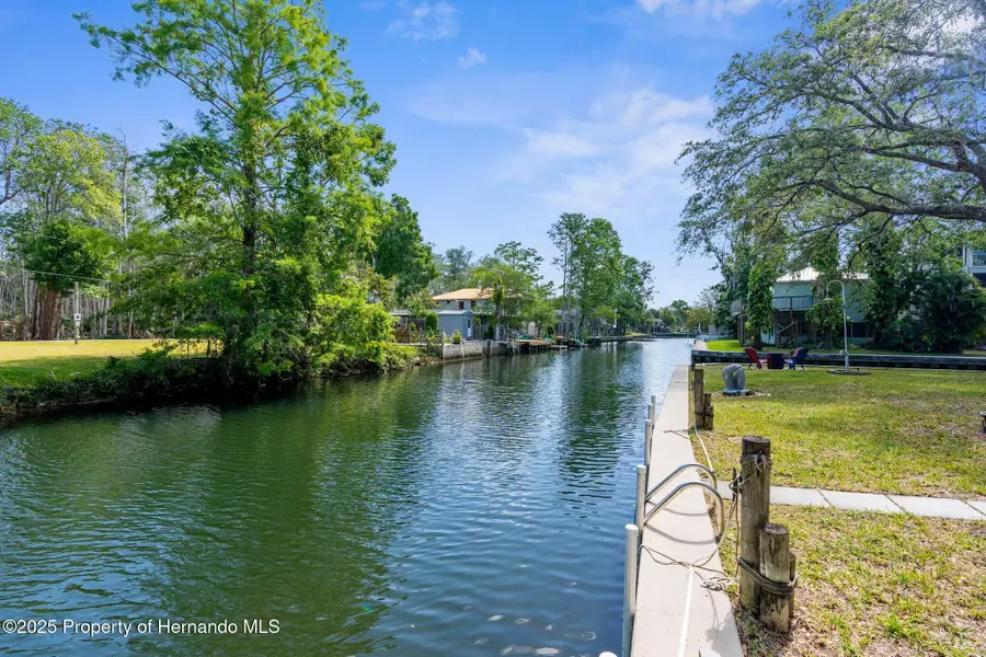 5421 Gay Street, Weeki Wachee, FL 34607 - #3