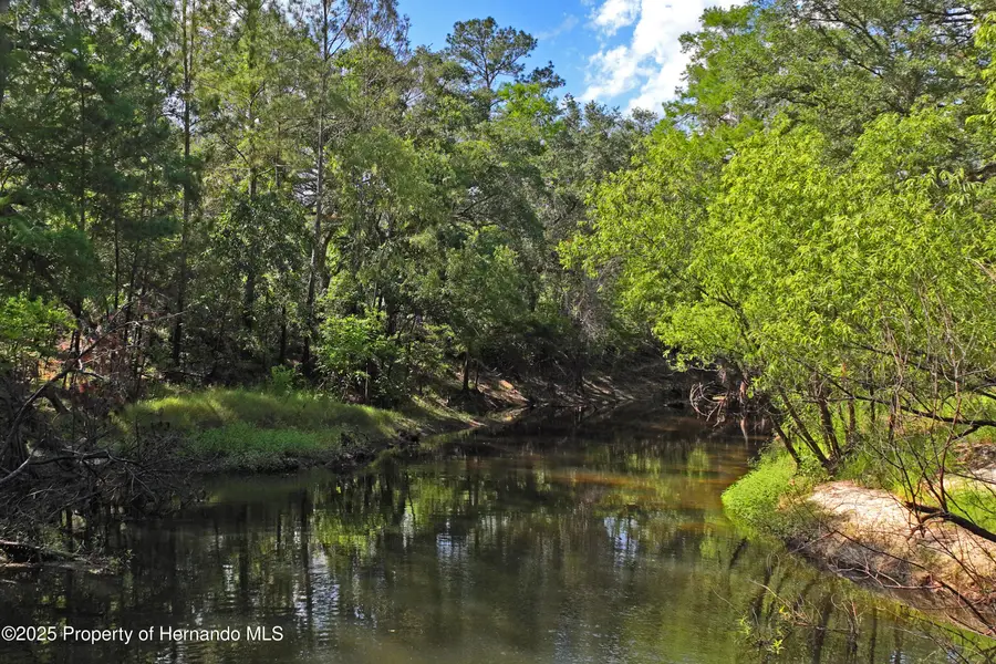 3431 Riderwood Drive, Dade City, FL 33523 - Image #2