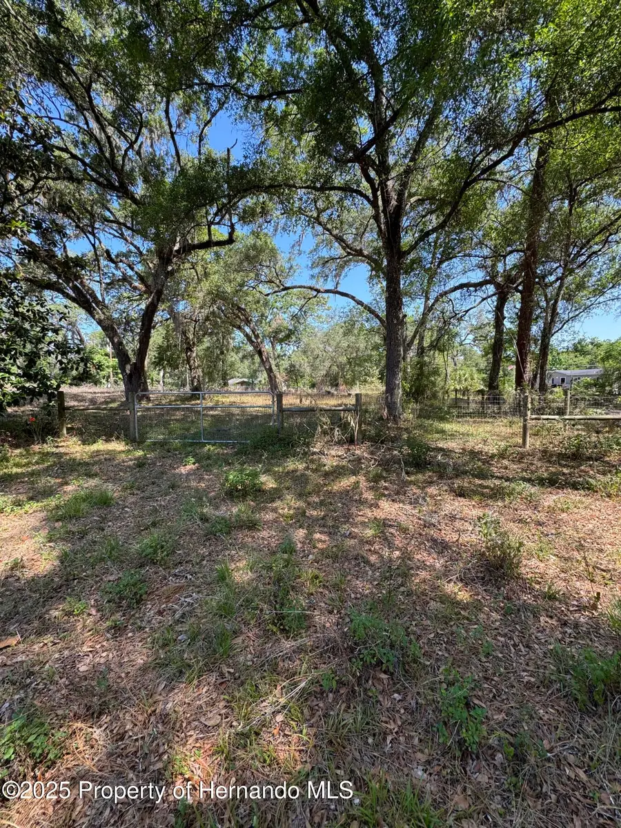 4266 County Road 691, Webster, FL 33597 - #2