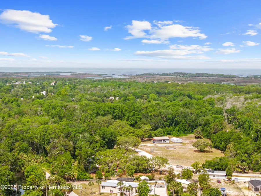 6380 Richard Drive, Weeki Wachee, FL 34607 - #2