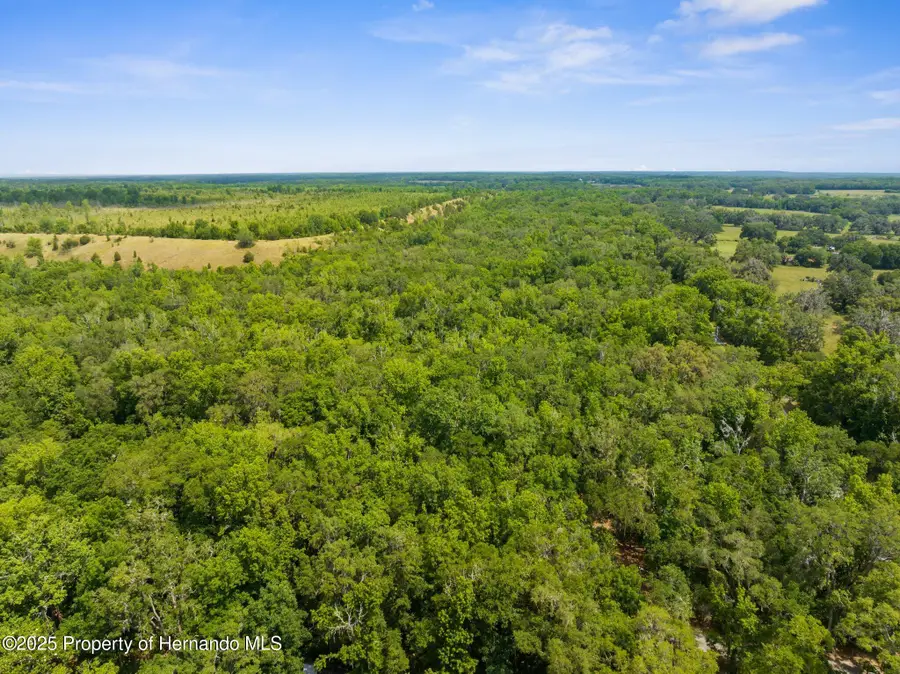 14145 Citrus Way, Brooksville, FL 34601 - Image #3