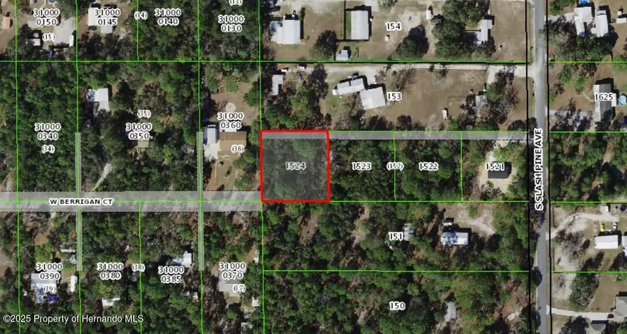 0 S Slash Pine Avenue, Homosassa, FL 34446 - Image #3