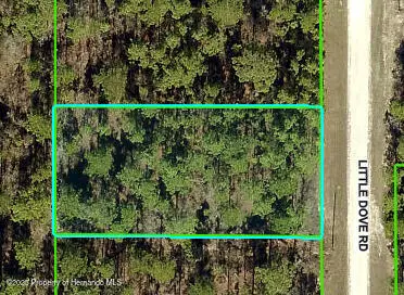16433 Little Dove Road, Brooksville, FL 34614