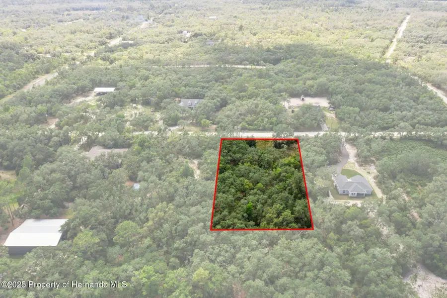 8184 Chimney Rock Drive, Webster, FL 33597 - Image #3