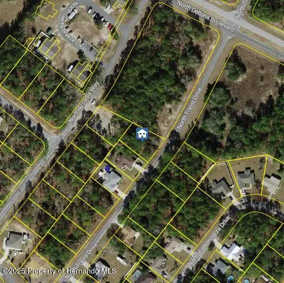 9561 N Travis Drive, Citrus Springs, FL 34434 - #1