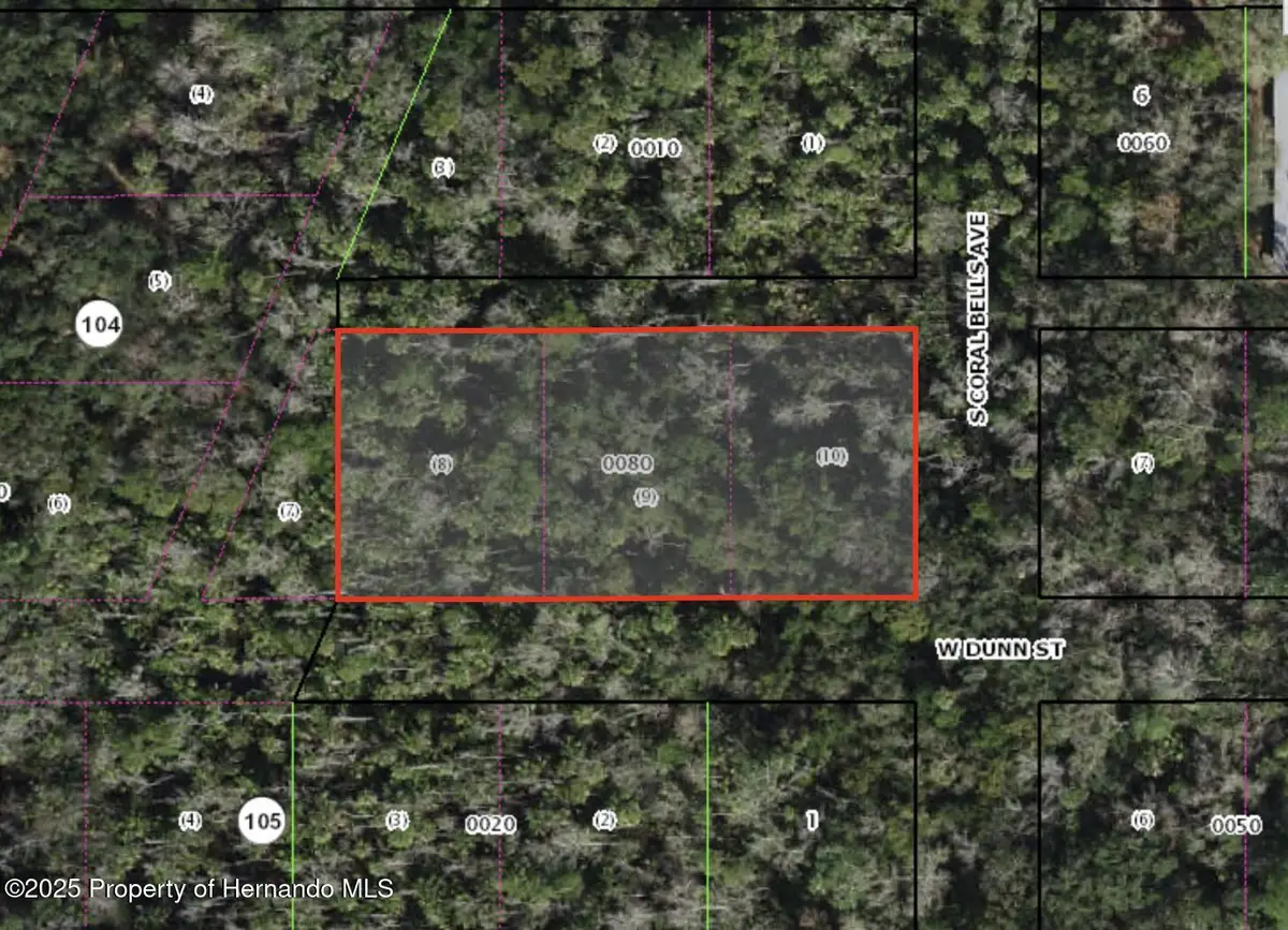 10427 W Dunn Street, Homosassa, FL 34448 - #1