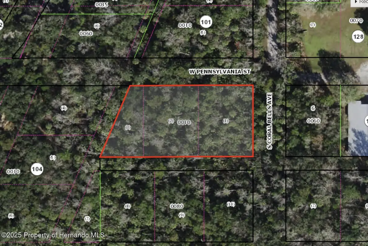 10388 W Pennsylvania Street, Homosassa, FL 00000 - #1