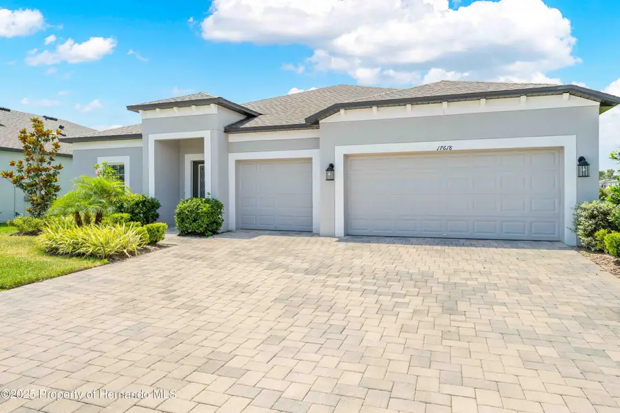 17618 Cortes Creek Boulevard, Central Pasco, FL 34610 - Image #3