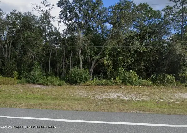 7446 Treiman Boulevard, Webster, FL 33597