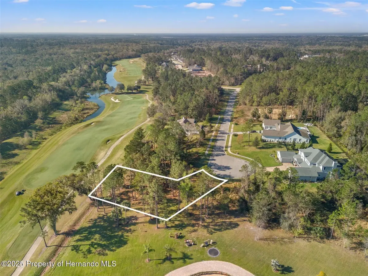 20132 English Walnut Place, Brooksville, FL 34601 - #1