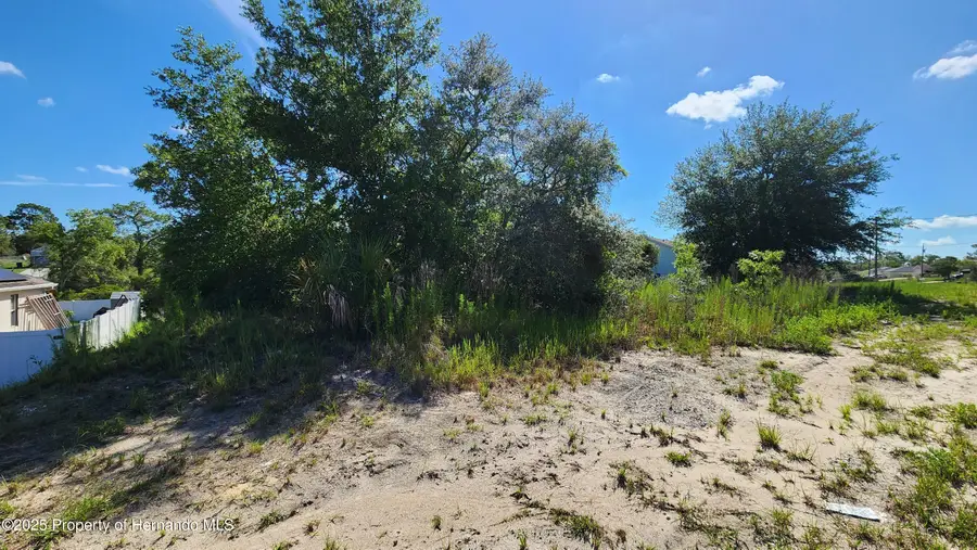 12501 Centennial Street, Spring Hill, FL 34609 - Image #3