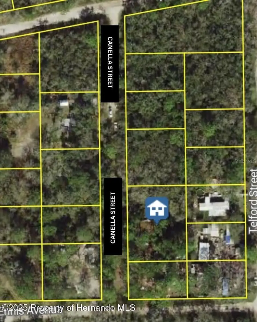 13023 Canella Street, New Port Richey, FL 34654 - #2