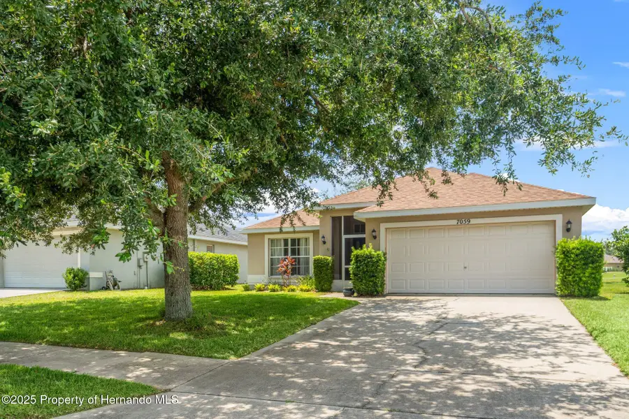 7059 Wirevine Drive, Brooksville, FL 34602 - #3