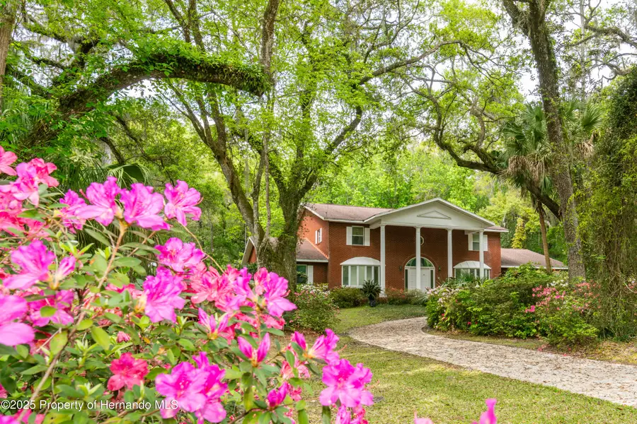 11159 Cindy Drive, Brooksville, FL 34601 - #3