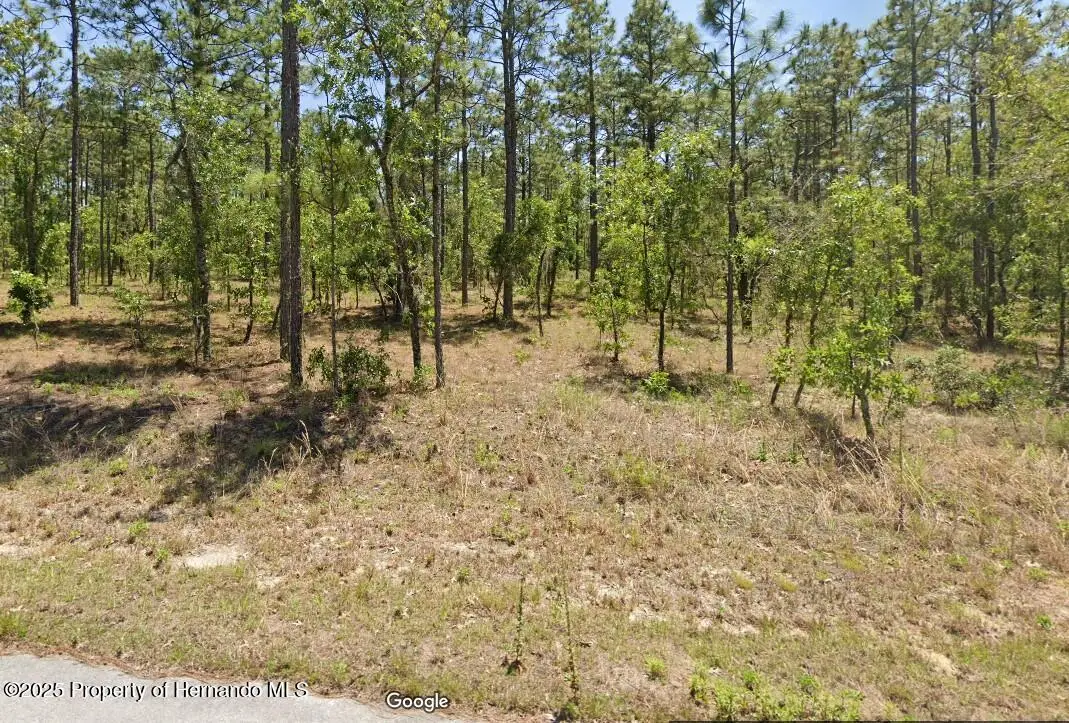 454605 NW Geranium Avenue, Dunnellon, FL 34431 - Image #1