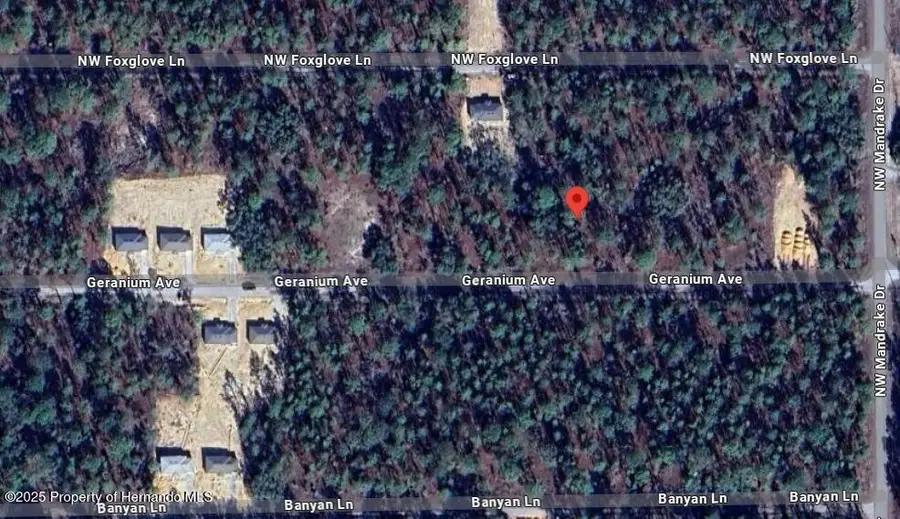 454605 NW Geranium Avenue, Dunnellon, FL 34431 - Image #3
