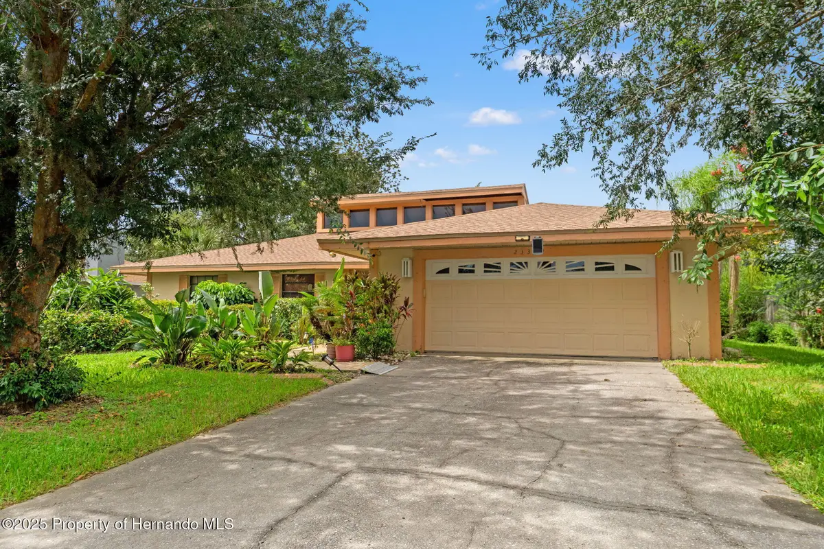 23302 Lucerne Place, Land O Lakes, FL 34639 - Image #1