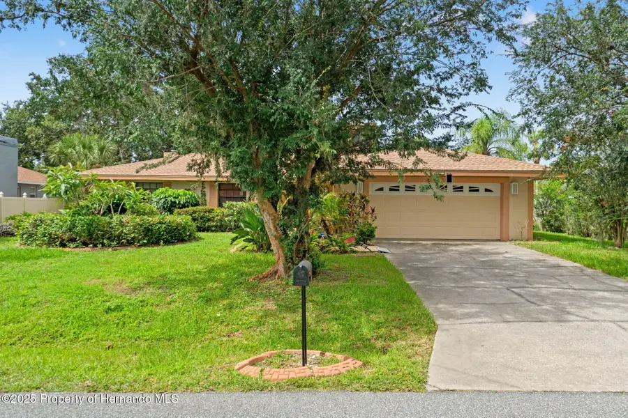 23302 Lucerne Place, Land O Lakes, FL 34639 - Image #3