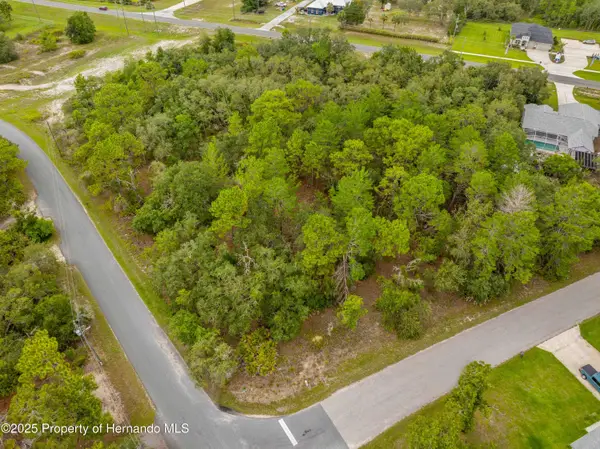 0000 Mansign Road, Weeki Wachee, FL 34613
