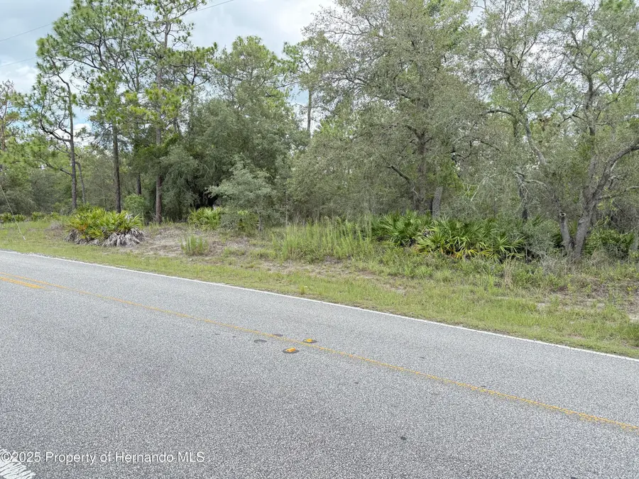 0 Fulton Avenue, Weeki Wachee, FL 34613 - Image #2