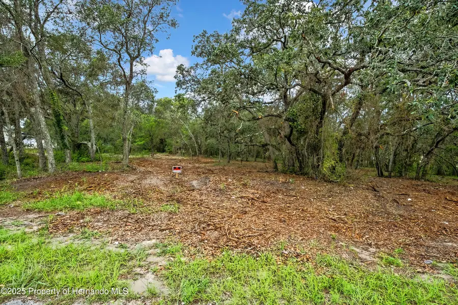 0 Old Shady Hills Road, Shady Hills, FL 34610 - #2