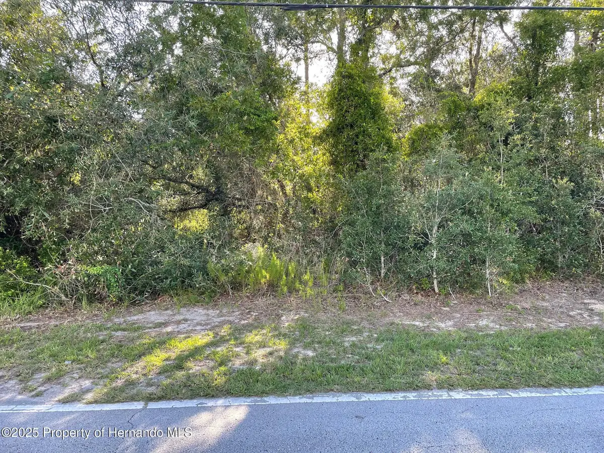 8217 Nightingale Road, Weeki Wachee, FL 34613 - Image #1