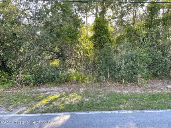 8217 Nightingale Road, Weeki Wachee, FL 34613