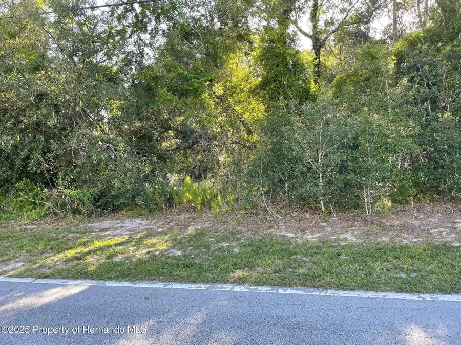 8217 Nightingale Road, Weeki Wachee, FL 34613 - Image #2
