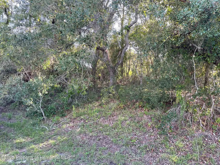 8217 Nightingale Road, Weeki Wachee, FL 34613 - Image #3