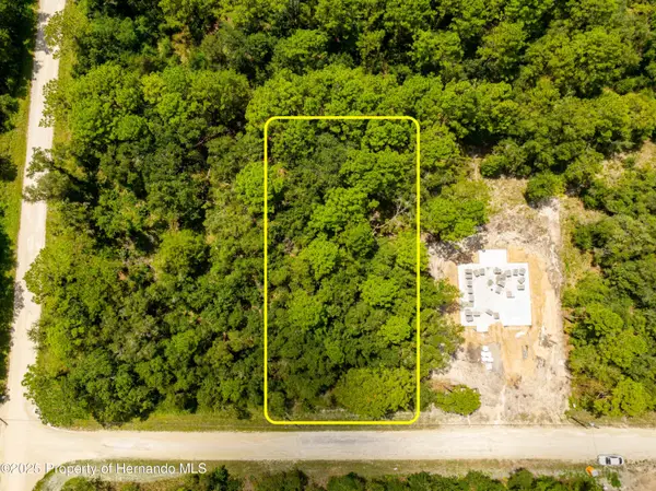 13304 Canada Goose Road, Weeki Wachee, FL 34614
