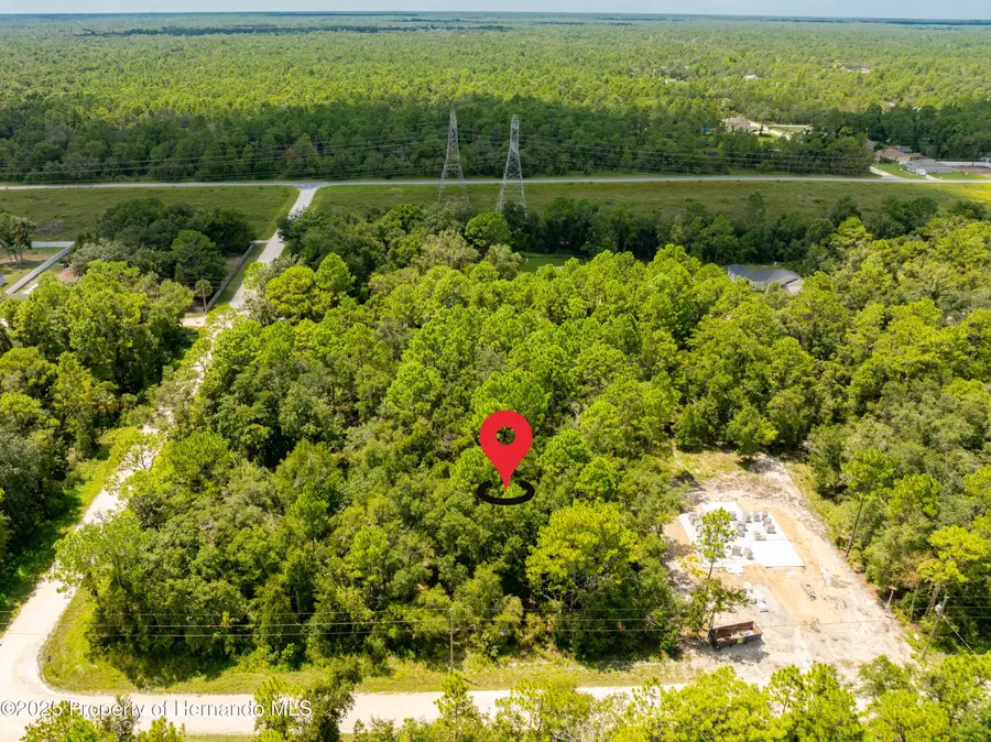 13304 Canada Goose Road, Weeki Wachee, FL 34614 - Image #2
