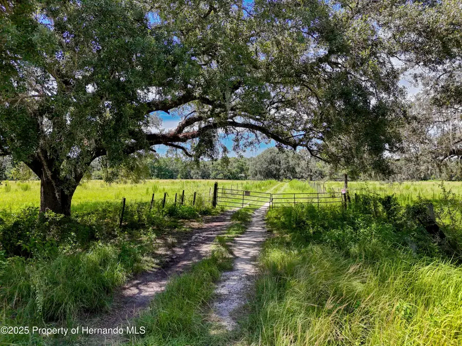20089 Ayers Road, Brooksville, FL 34604 - #3
