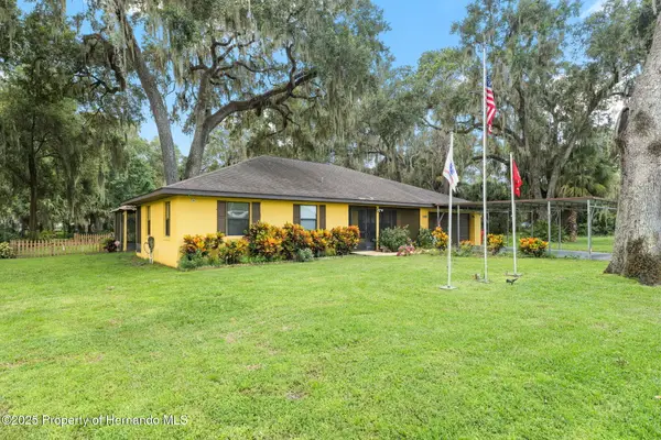 1251 Cr 436, Lake Panasoffkee, FL 33538