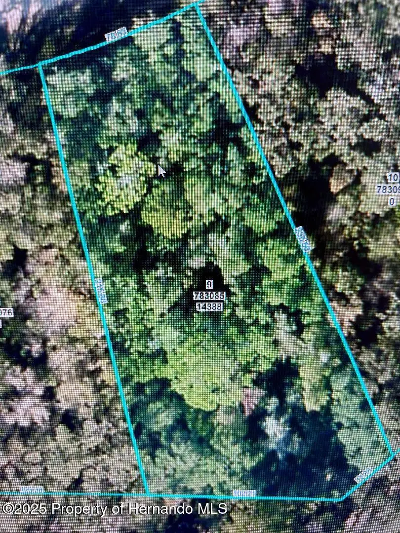 14388 Chimney Swift Road, Brooksville, FL 34614 - #1