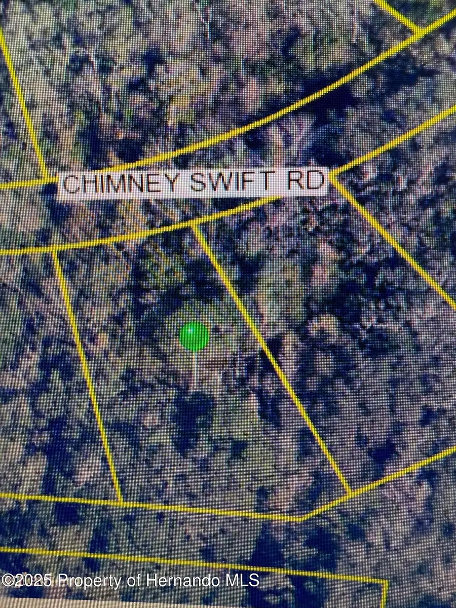 14388 Chimney Swift Road, Brooksville, FL 34614 - #2