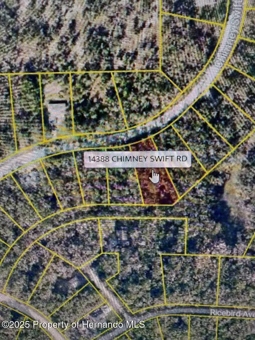14388 Chimney Swift Road, Brooksville, FL 34614 - #3