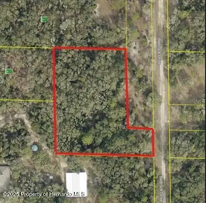0 Bedrock Drive, Webster, FL 33597