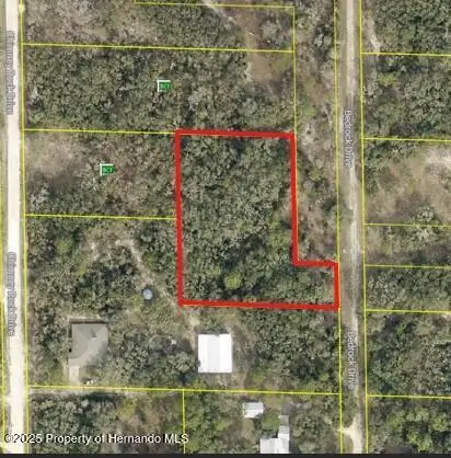 0 Bedrock Drive, Webster, FL 33597 - #3
